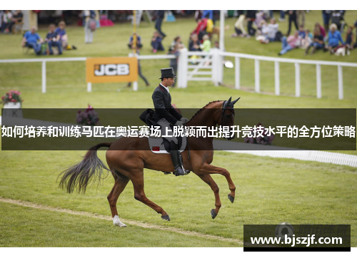 如何培养和训练马匹在奥运赛场上脱颖而出提升竞技水平的全方位策略